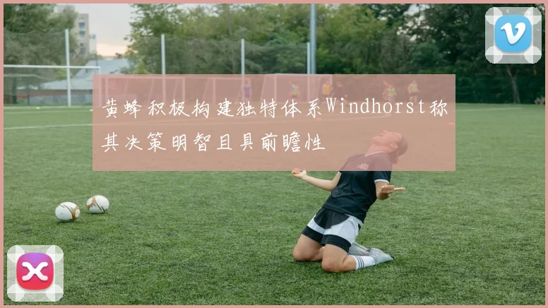 黄蜂积极构建独特体系Windhorst称其决策明智且具前瞻性