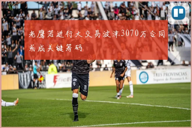 老鹰若进行大交易波津3070万合同或成关键筹码